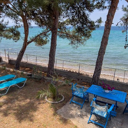Pine Beach House Skála Kallirákhis Zewnętrze zdjęcie